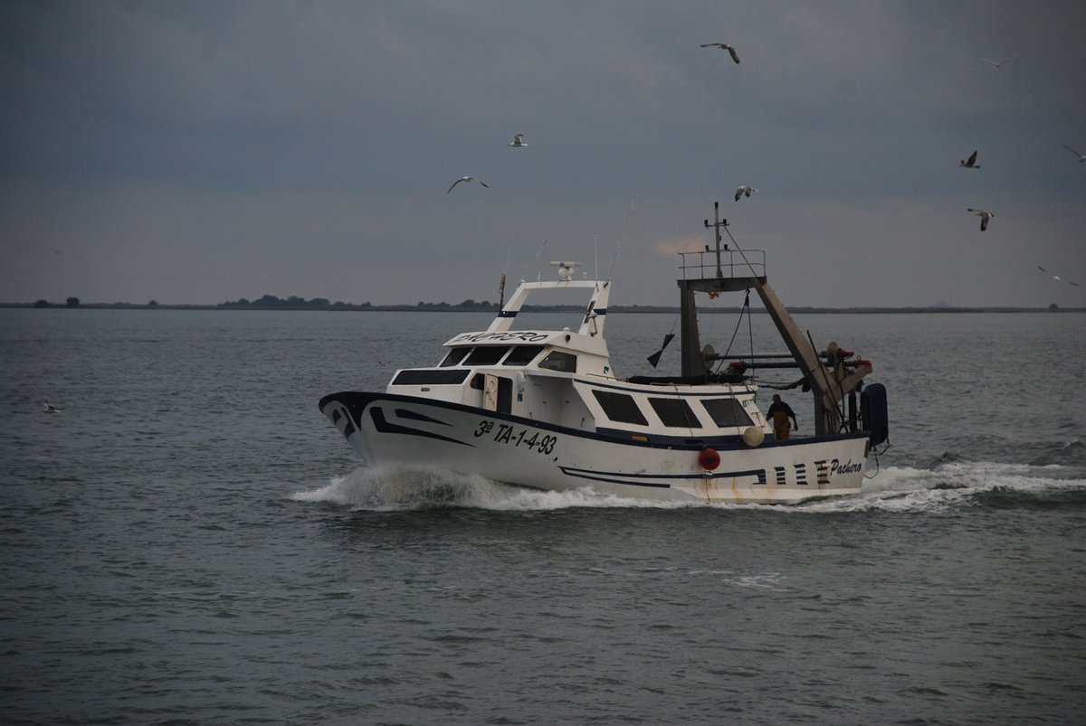 Imagen de Capitol 8 - 2004